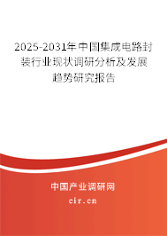 2025-2031年中國集成電路封裝行業(yè)現(xiàn)狀調(diào)研分析及發(fā)展趨勢研究報告