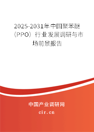2025-2031年中國聚苯醚（PPO）行業(yè)發(fā)展調(diào)研與市場前景報(bào)告
