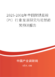 2025-2031年中國聚酰亞胺（PI）行業(yè)發(fā)展研究與前景趨勢預(yù)測報告