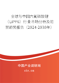 全球與中國六氟磷酸鋰（LiPF6）行業(yè)市場分析及前景趨勢報告（2024-2030年）