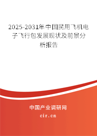 2025-2031年中國(guó)民用飛機(jī)電子飛行包發(fā)展現(xiàn)狀及前景分析報(bào)告