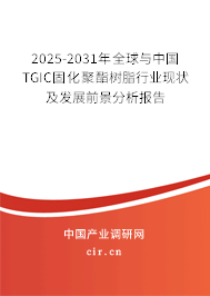 2025-2031年全球與中國TGIC固化聚酯樹脂行業(yè)現(xiàn)狀及發(fā)展前景分析報告