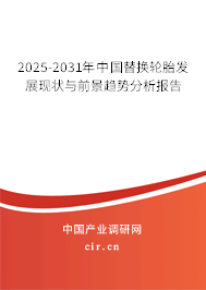 2025-2031年中國替換輪胎發(fā)展現(xiàn)狀與前景趨勢分析報告