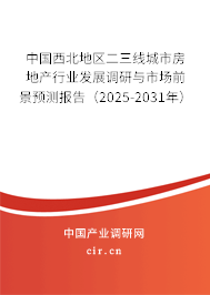 中國西北地區(qū)二三線城市房地產(chǎn)行業(yè)發(fā)展調(diào)研與市場前景預測報告（2025-2031年）