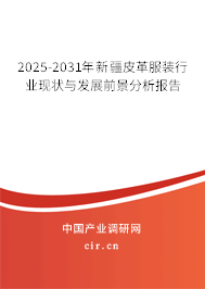 2025-2031年新疆皮革服裝行業(yè)現(xiàn)狀與發(fā)展前景分析報告