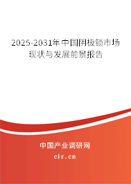 2025-2031年中國陰極鎖市場現(xiàn)狀與發(fā)展前景報(bào)告