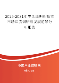 2025-2031年中國康明斯擺臂市場深度調(diào)研與發(fā)展前景分析報告
