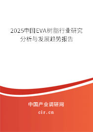 2024中國EVA樹脂行業(yè)研究分析與發(fā)展趨勢報告