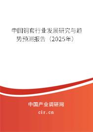中國(guó)銅套行業(yè)發(fā)展研究與趨勢(shì)預(yù)測(cè)報(bào)告（2025年）