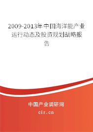 2009-2013年中國海洋能產(chǎn)業(yè)運行動態(tài)及投資規(guī)劃戰(zhàn)略報告