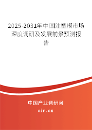 2025-2031年中國(guó)注塑模市場(chǎng)深度調(diào)研及發(fā)展前景預(yù)測(cè)報(bào)告