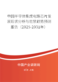 中國(guó)半導(dǎo)體集成電路芯片發(fā)展現(xiàn)狀分析與前景趨勢(shì)預(yù)測(cè)報(bào)告（2025-2031年）