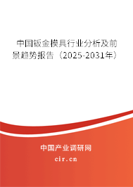 中國(guó)鈑金模具行業(yè)分析及前景趨勢(shì)報(bào)告（2025-2031年）