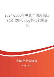 2024-2030年中國車輛用層壓安全玻璃行業(yè)分析與發(fā)展前景
