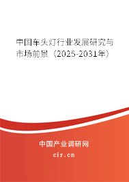 中國(guó)車頭燈行業(yè)發(fā)展研究與市場(chǎng)前景（2025-2031年）