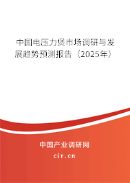 中國電壓力煲市場調(diào)研與發(fā)展趨勢預(yù)測報(bào)告（2025年）