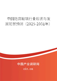 中國(guó)防腐玻璃行業(yè)現(xiàn)狀與發(fā)展前景預(yù)測(cè)（2025-2031年）