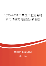 2025-2031年中國風能復合材料市場研究與前景分析報告