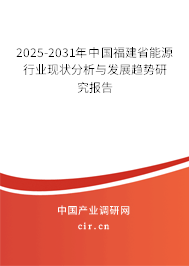2025-2031年中國福建省能源行業(yè)現(xiàn)狀分析與發(fā)展趨勢研究報告