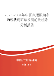 2025-2031年中國氟硼酸鈉市場現(xiàn)狀調(diào)研與發(fā)展前景趨勢分析報(bào)告