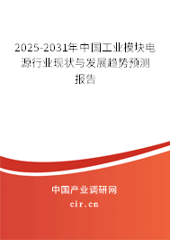 2024-2030年中國工業(yè)模塊電源行業(yè)現(xiàn)狀與發(fā)展趨勢預(yù)測報告