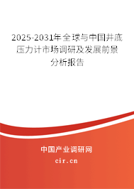2025-2031年全球與中國(guó)井底壓力計(jì)市場(chǎng)調(diào)研及發(fā)展前景分析報(bào)告
