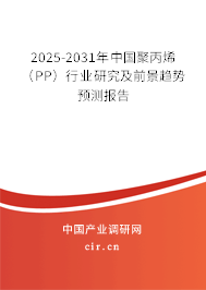 2024-2030年中國聚丙烯（PP）行業(yè)研究及前景趨勢預(yù)測報告