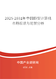2025-2031年中國巨型計算機市場現(xiàn)狀與前景分析