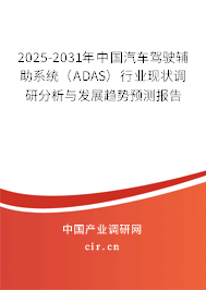 2025-2031年中國汽車駕駛輔助系統(tǒng)（ADAS）行業(yè)現(xiàn)狀調(diào)研分析與發(fā)展趨勢預(yù)測報告