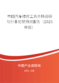 中國(guó)汽車維修工具市場(chǎng)調(diào)研與行業(yè)前景預(yù)測(cè)報(bào)告（2025年版）