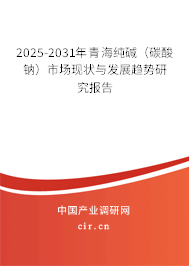 2025-2031年青海純堿（碳酸鈉）市場(chǎng)現(xiàn)狀與發(fā)展趨勢(shì)研究報(bào)告