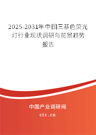 2025-2031年中國三基色熒光燈行業(yè)現(xiàn)狀調(diào)研與前景趨勢報(bào)告