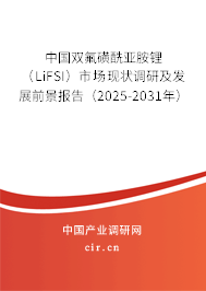 中國雙氟磺酰亞胺鋰（LiFSI）市場現(xiàn)狀調(diào)研及發(fā)展前景報(bào)告（2025-2031年）