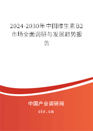 2024-2030年中國(guó)維生素B2市場(chǎng)全面調(diào)研與發(fā)展趨勢(shì)報(bào)告