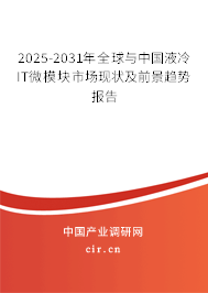 2025-2031年全球與中國(guó)液冷IT微模塊市場(chǎng)現(xiàn)狀及前景趨勢(shì)報(bào)告