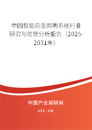 中國智能應(yīng)急照明系統(tǒng)行業(yè)研究與前景分析報(bào)告（2025-2031年）
