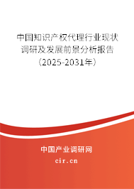 中國知識產(chǎn)權(quán)代理行業(yè)現(xiàn)狀調(diào)研及發(fā)展前景分析報告（2025-2031年）