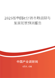 2025版中國it分銷市場調(diào)研與發(fā)展前景預測報告