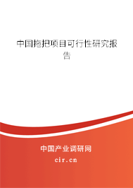 中國拖把項目可行性研究報告