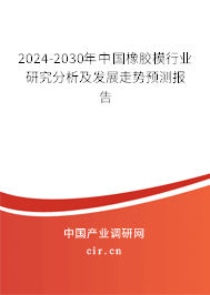 2024-2030年中國橡膠模行業(yè)研究分析及發(fā)展走勢預測報告