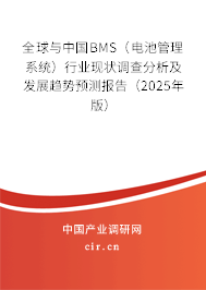 全球與中國BMS（電池管理系統(tǒng)）行業(yè)現(xiàn)狀調(diào)查分析及發(fā)展趨勢預(yù)測報(bào)告（2025年版）