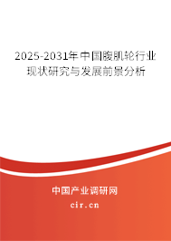 2025-2031年中國(guó)腹肌輪行業(yè)現(xiàn)狀研究與發(fā)展前景分析