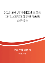 2024-2030年中國工業(yè)固廢處理行業(yè)發(fā)展深度調(diào)研與未來趨勢報(bào)告