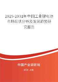 2025-2031年中國(guó)工業(yè)鋰電池市場(chǎng)現(xiàn)狀分析及發(fā)展趨勢(shì)研究報(bào)告