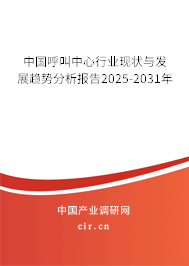 中國呼叫中心行業(yè)現狀與發(fā)展趨勢分析報告2025-2031年