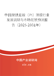 中國聚酰亞胺（PI）薄膜行業(yè)發(fā)展調(diào)研與市場前景預測報告（2025-2031年）