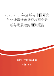 2025-2031年全球與中國可燃?xì)怏w流量計(jì)市場現(xiàn)狀研究分析與發(fā)展趨勢預(yù)測報(bào)告