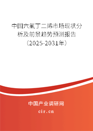 中國六氟丁二烯市場現(xiàn)狀分析及前景趨勢預測報告（2025-2031年）