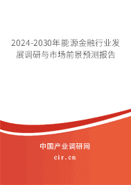 2024-2030年能源金融行業(yè)發(fā)展調研與市場前景預測報告