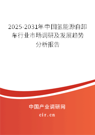 2025-2031年中國(guó)氫能源自卸車行業(yè)市場(chǎng)調(diào)研及發(fā)展趨勢(shì)分析報(bào)告